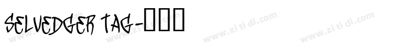 Selvedger Tag字体转换
